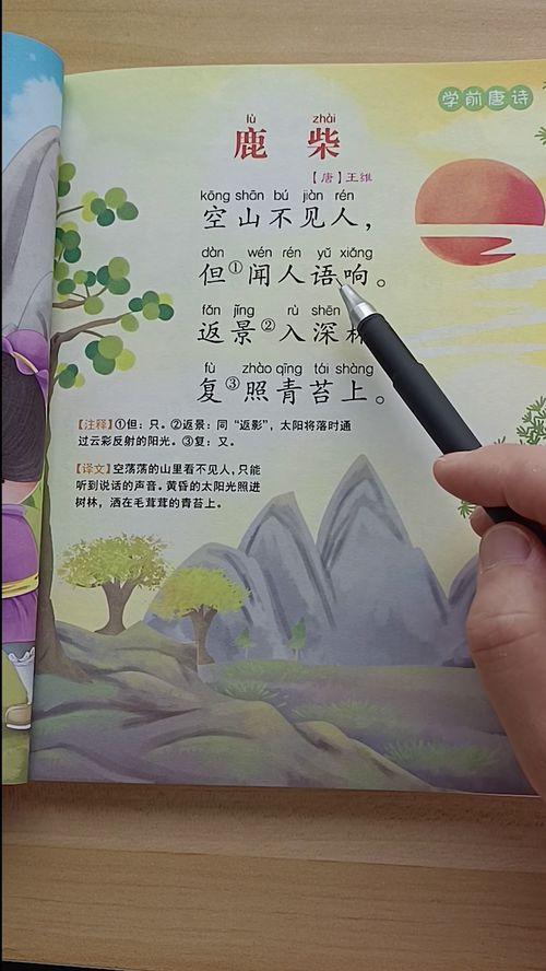 鹿寨古诗视频,穿越时空的美丽邂逅